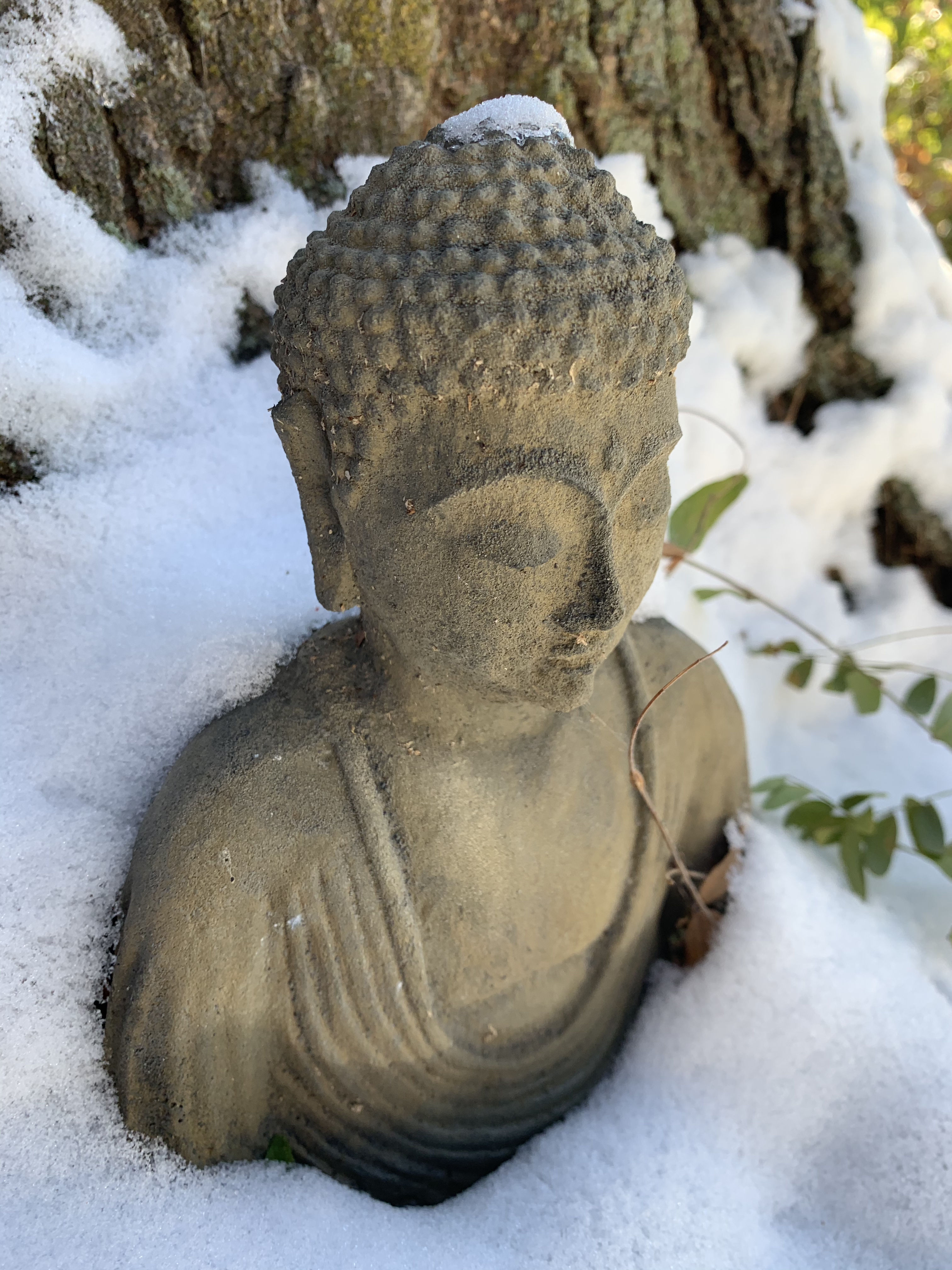 Snowy Buddha